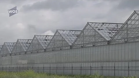 Plausible Tornado Reported In De Lier, Netherlands 01-05-2020