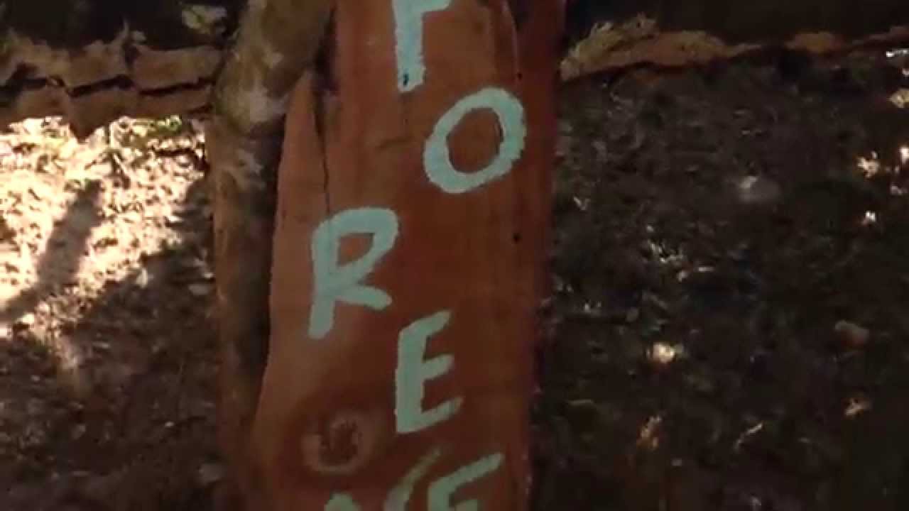 Bougainville Farm - Inicio de um sonho...