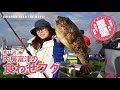 【東京湾・フグ釣り】三石忍　忍塾THE・ムービー11 食わせフグ