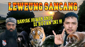 LEWEUNG SANCANG KARANG GAJAH GARUT 