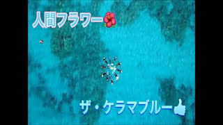 人間フラワー！絶品のケラマブルー‼