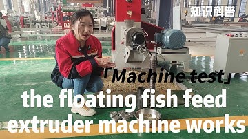 Machine test: the floating fish feed extruder machine works#fishfeed #fishfarm #fishfeedmachine