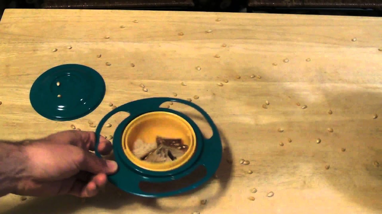Gyro Bowl Non Spill Bowl As Seen On TV Review by 9malls YouTube