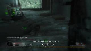 CoD4 Color Tests - IReALGaIMe