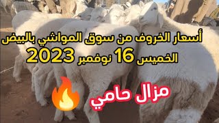 أسعار  الكبش و الخروف من سوق المواشي لولاية البيض الخميس 16 نوفمبر 2023