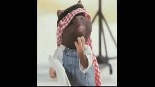 Huxley Pig - Huxley Pig Makes A Movie