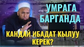 картинка: УМРАГА БАРГАНДА КАНДАЙ ИБАДАТ КЫЛУУ КЕРЕК? /УМРА ИБАДАТ ТАРТИПТЕРИ/ Максат ажы Токтомушев/