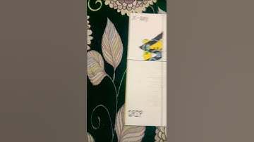 Drawing of SpongeBob in 4 different styles part 2#shortvideo #viral #shorts /sukhpreet art