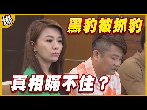 《黃金爆爆爆》黃金歲月 EP288 黑豹被抓豹 真相瞞不住？