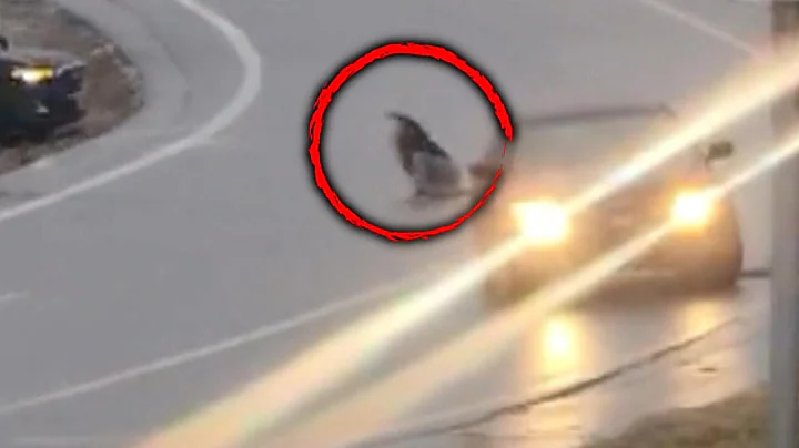 Driver Leaps Out of Car After Hitting Black Ice on Highway