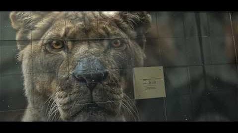 3D Look I Mosaic Opener I Slideshow. After Effects Project on Videohive.net