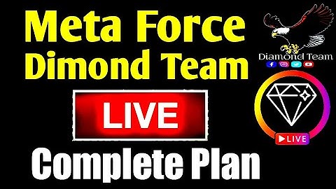 Meta Force Complete plan s3 and s6