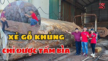 Tấm Bìa của cây gỗ cẩm Lai khủng Tiền Tỷ trị Giá trăm triệu ? | Sơn Sập Gỗ