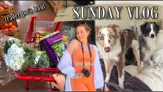 SUNDAY VLOG | trader joes haul, making spa water, and new affordable glasses from Warby Parker
