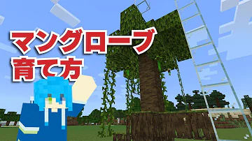 穴を掘るだけ 超簡単 マングローブ植林場の作り方
