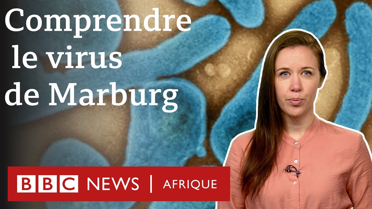 Qu'est-ce que le virus de Marburg et comment l'attrape-t-on ? | BBC Afrique Infos