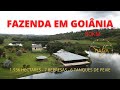 FAZENDA NO GOIAS - 80 KM DE GOIÂNIA-FAZENDA RENTAVEL-OPORTUNIDADE DE NEGOCIO-FAZENDA DUPLA APTIDÃO