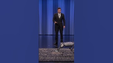 BEST ROBOT CHEETAH BACKFLIP EVER #shorts#2023#evolution#interview#show #real#beautiful#notdoneyet