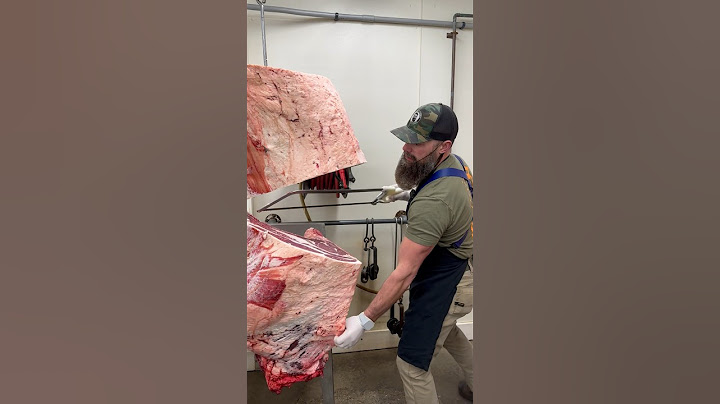 Separating a Beef Rib/Chuck. 🔪🥩 #shorts #shortsvideo #fyp #viral