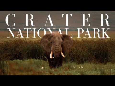 Crater National Park In 4K Ngorongoro Crater Tanzania 