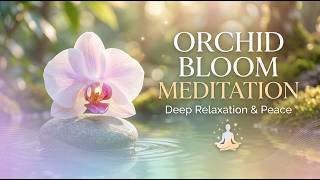 Orchid Bloom Meditation: Deep Relaxation & Peace
