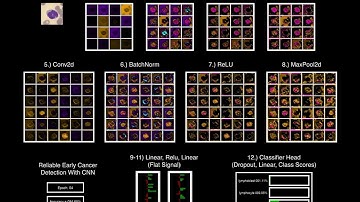 First Ever - Full Training of Neural Network - Accurate Visualization