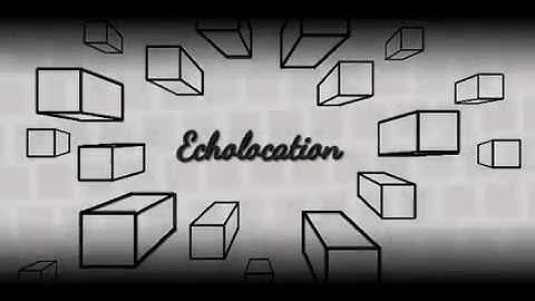 Geometry Dash(2.0)-Echolocation-by TriAxis(Triaxis