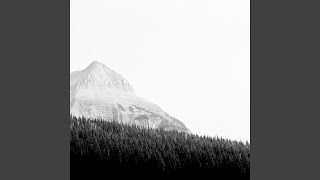 Fake Plastic Trees - Hollow Head