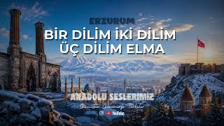 Bir Dilim İki Dilim Üç Dilim Elma - Erzurum Türküsü Anatolian Rock Cover