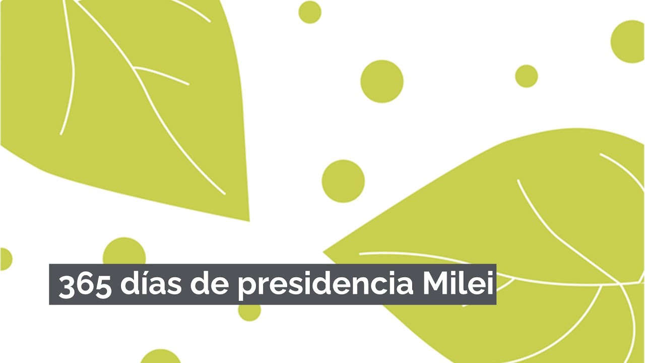 365 días de presidencia Milei