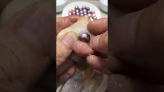 Dig Pearls From Clam Oyster Mussel #Shorts