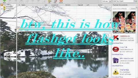 How To Download Video From Youtube, Metacafe, etc For Free.