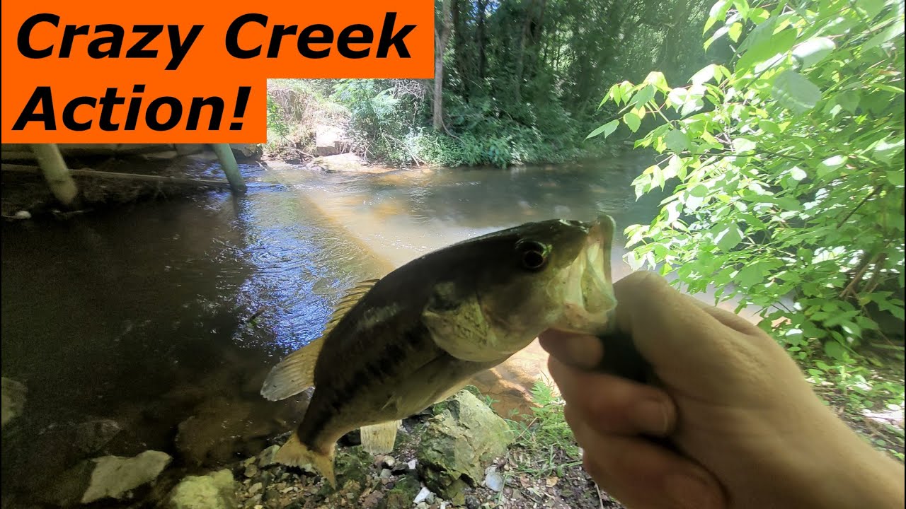 Рыбалка на городских ручьях на Google Maps! Ловля окуня в разных ручьях!