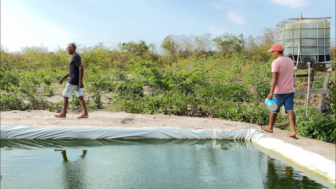 SEU JOÃO UM HOMEM TRABALHADOR MOSTRANDO SUAS  EXPERIÊNCIAS NO SÍTIO NOSSA ROÇA 