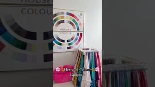 The Girlies try House of Colour in Gulfport! 👍🏻👍🏻👍🏻👍🏻
