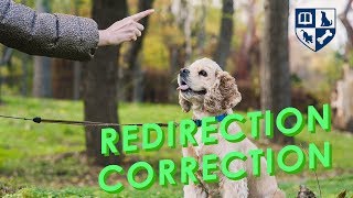 Redirecting BAD dog Behavior into GOOD dog Behavior!