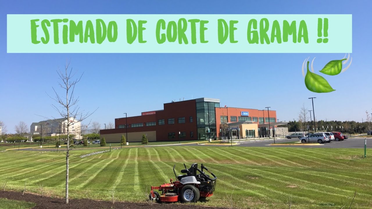 CUANTO COBRAR POR UN CORTE DE GRAMA??