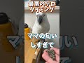 愛情込めたせんべいを見せた結果… #shorts