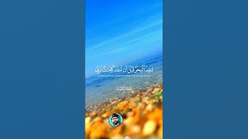 سورة الكهف يوم الجمعة #سورة_الكهف #الكهف #يوم_الجمعة #الجمعة #الجزائر #algerie #algeria#دعاء #جمعة