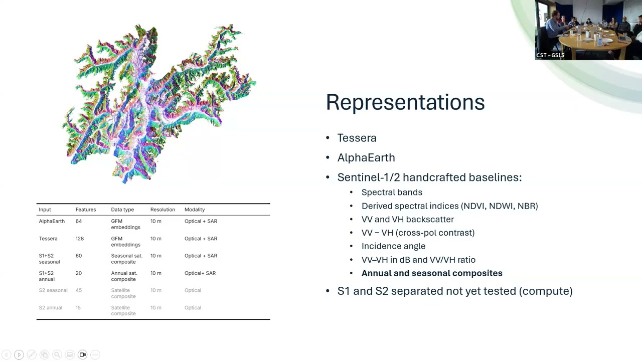 Geospatial Foundation Models Enable Efficient Tree Species Mapping in Heterogeneous Montane Forests