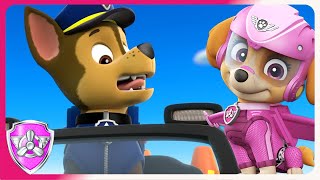 Skye and the Pups Dentist Trip | Skye PAW Patrol | Cartons for kids