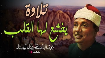 روعة الأداء وجمال الصوت في تلاوة واحدة بصوت يلامس أعماق القلب