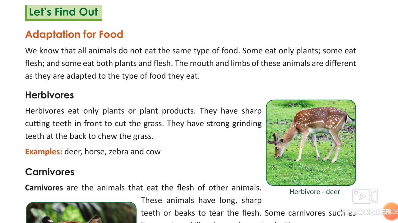 Class 4th Science adaptation In Animals YouTube class-4th-science-adaptation-in-animals-youtube