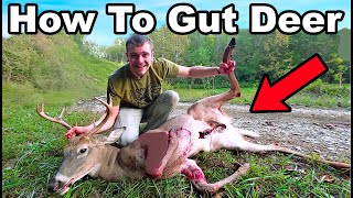 How To Gut a Deer for Beginners!