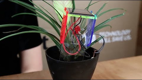 Make with DIY Thirsty Plant Kit