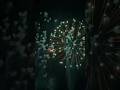 FIREWORKS - FT BLISS TX #usa #fireworks #fire #popular #reels #shorts #shortvideo #short #youtube
