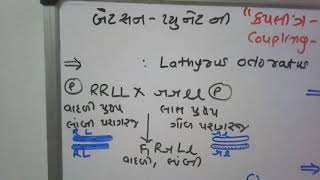 Coupling - Repulsion hypothesis  1