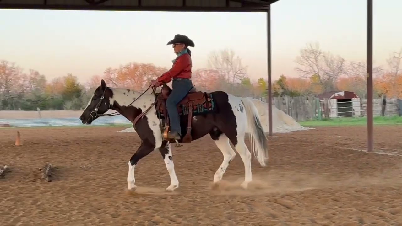 Green horse ranch rail w/t