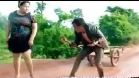 Qaws kom siab zog -​ koos loos