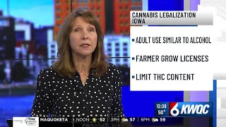 Iowa Auditor and candidate for governor wants to legalize, tax, regulate cannabis - clipped versi...